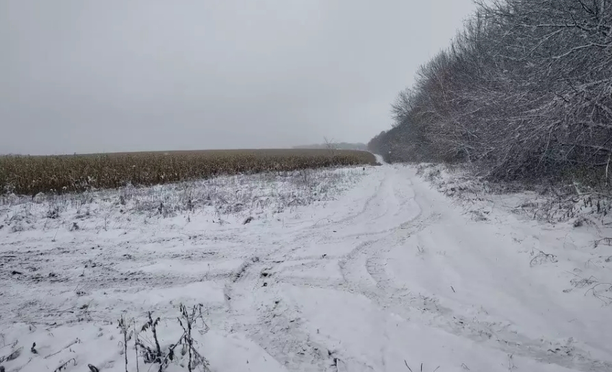 Однакові хрести з номерами в полі кукурудзи: як в Україні ховають бездомних